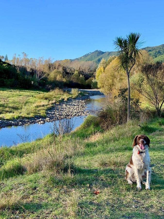 Aston Road Villa Bed & Breakfast Waikanae Luaran gambar